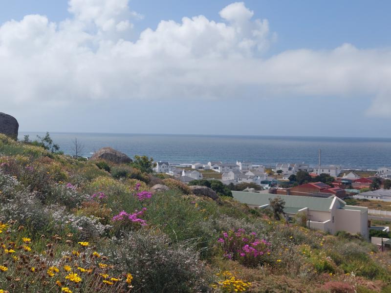 0 Bedroom Property for Sale in Blueberry Hill Western Cape